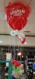 img_1246_laurea