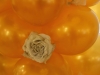 dpp_0007